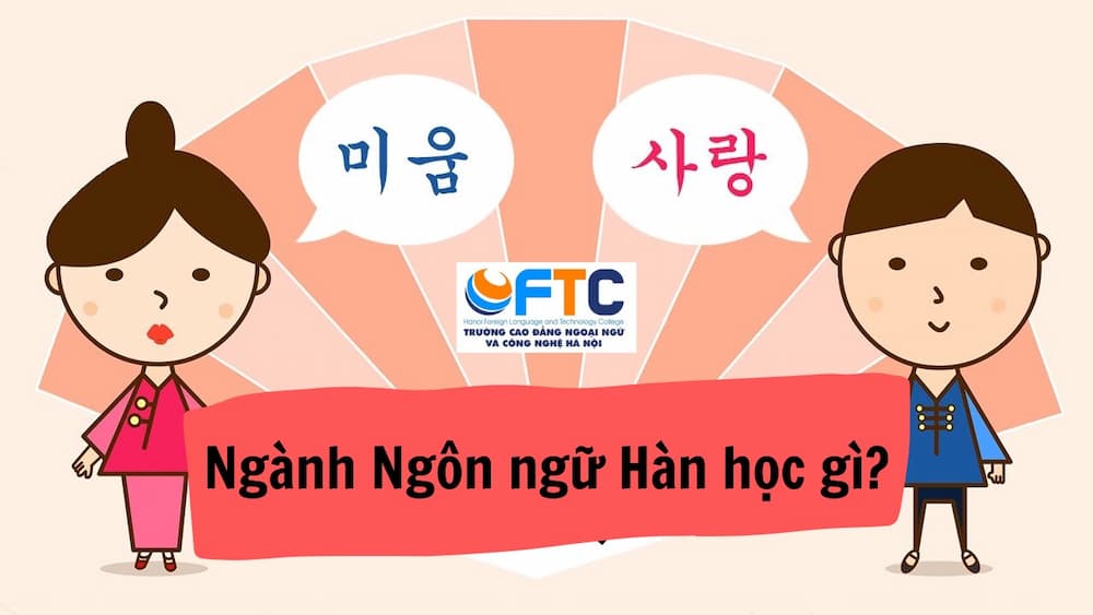 ngành ngôn ngữ hàn học gì