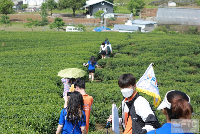 Cao đẳng hướng dẫn du lịch