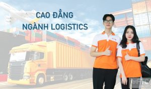 Nên học cao đẳng ngành Logistics không?