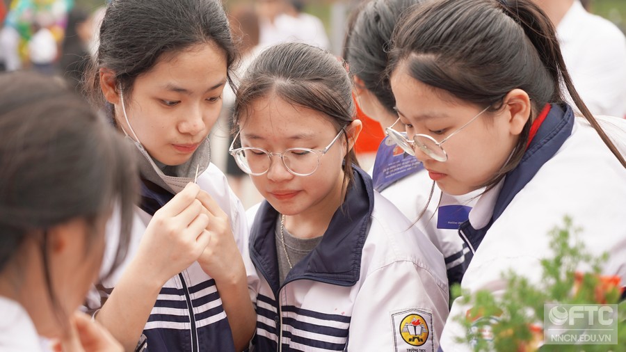 Phiên giao dịch và tư vấn việc làm năm 2024