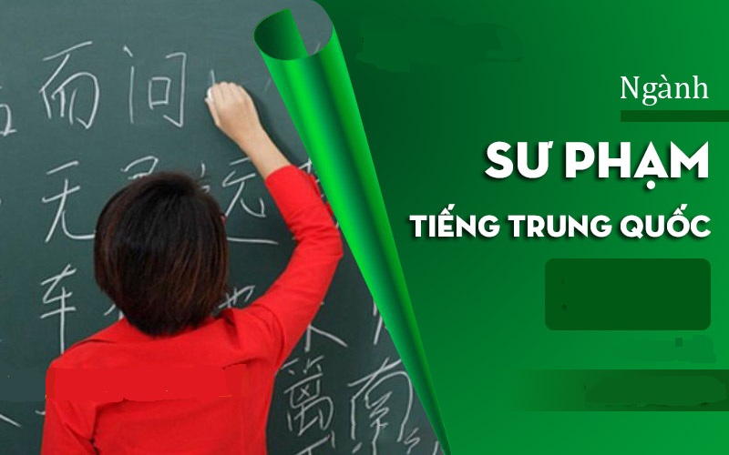 Ngành Sư phạm tiếng Trung đào tạo những gì?