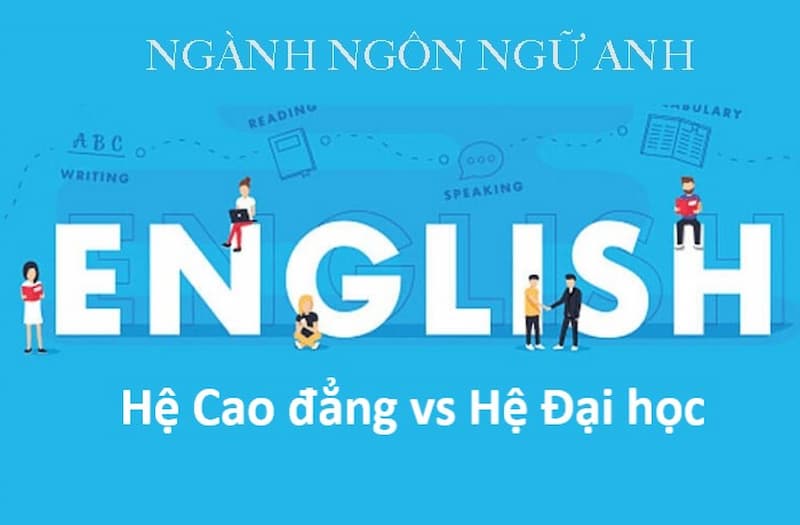 Học tiếng Anh chọn đại học hay cao đẳng? Sự khác biệt giữa học tiếng Anh bậc đại học và cao đẳng