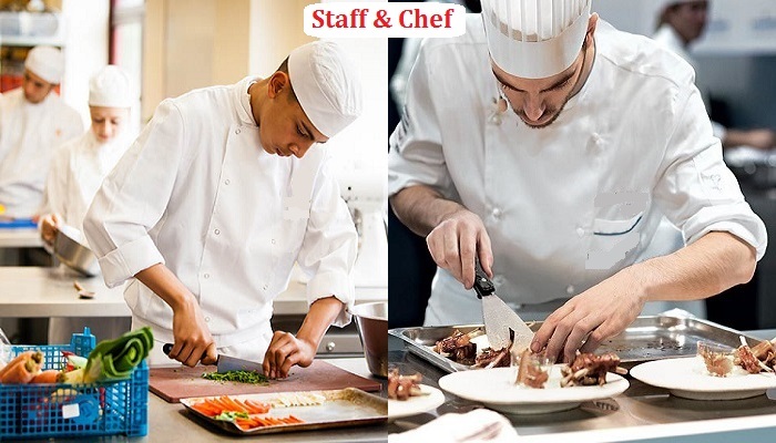 Tại sao nên chọn trường học nấu ăn chuyên nghiệp?