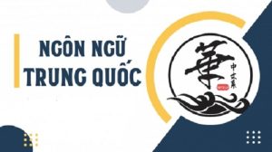 Lưu ý khi chọn trường cao đẳng ngành Ngôn ngữ Trung