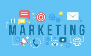 Các ngành học về Marketing